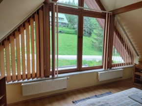 Třílůžkový pokoj Pension Kubů